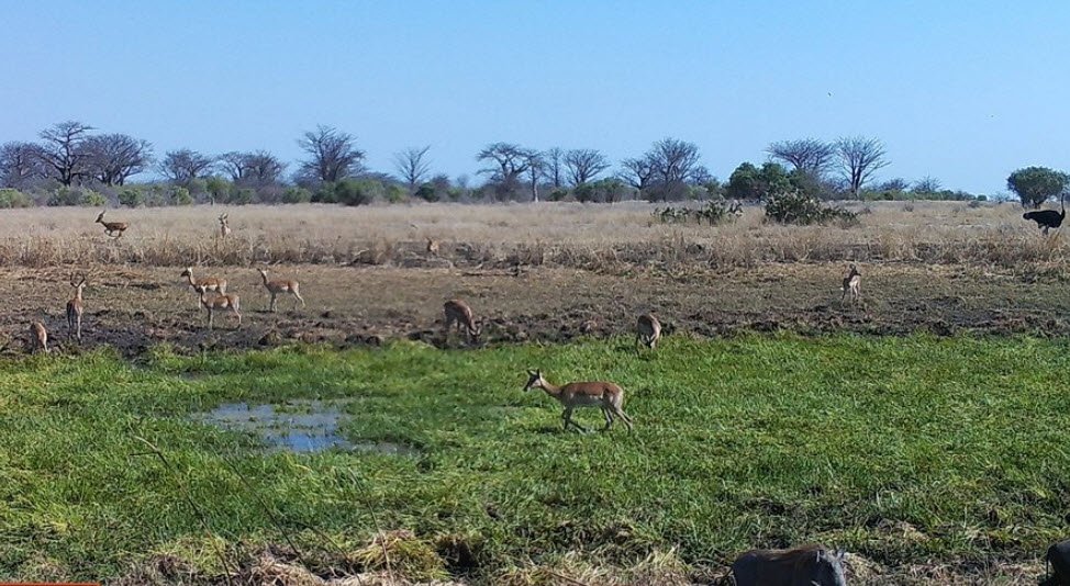 Banhine National Park, Gaza Province, Mozambique